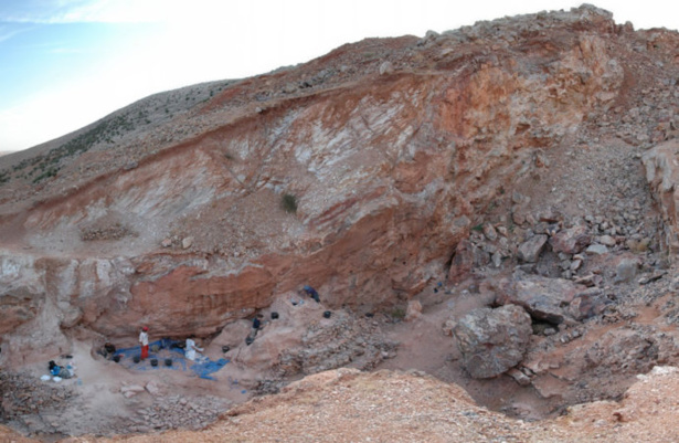 Jebel Irhoud, 