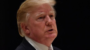 Les Etats-Unis célèbrent Martin Luther King, Trump se défend d'être "raciste" Les Etats-Unis célèbrent Martin Luther King, Trump se défend d'être "raciste"