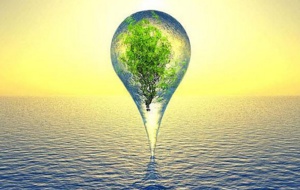 Bulletin de l'écologie de l'Afrique du 08/02/2018 Bulletin de l'écologie de l'Afrique du 08/02/2018