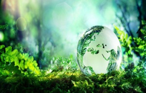 Bulletin de l'écologie de l'Afrique du 16/02/2018 Bulletin de l'écologie de l'Afrique du 16/02/2018