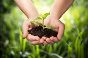 Bulletin de l’écologie de l’Asie-Océanie du 29/05/2018