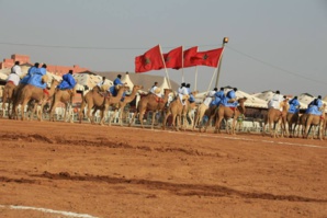 Guelmim au rythme de la 8ème édition du festival de la semaine du dromadaire du 22 au 28 courant Guelmim au rythme de la 8ème édition du festival de la semaine du dromadaire du 22 au 28 courant