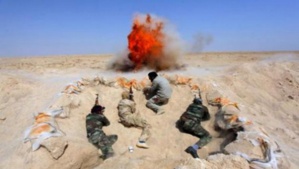 L'élimination du terrorisme dans la région du Sahel et du Sahara est tributaire de la disparition des camps du polisario à Tindouf (Agence d'information argentine) L'élimination du terrorisme dans la région du Sahel et du Sahara est tributaire de la disparition des camps du polisario à Tindouf (Agence d'information argentine)