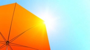 Vague de chaleur: l'été 2018 fait tomber tous les records Vague de chaleur: l'été 2018 fait tomber tous les records