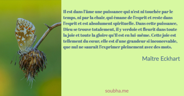 Il est dans l’âme
