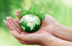 Bulletin écologique du Maghreb Bulletin écologique du Maghreb