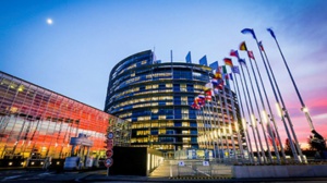 Quand le polisario célèbre une défaite au Parlement européen Quand le polisario célèbre une défaite au Parlement européen