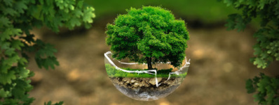 Bulletin de l'écologie de l'Afrique Bulletin de l'écologie de l'Afrique