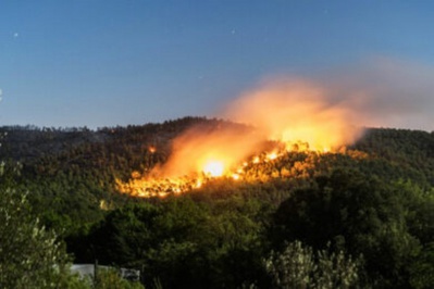 Algérie : 4271 hectares de couvert forestier ravagés par 814 incendies Algérie : 4271 hectares de couvert forestier ravagés par 814 incendies