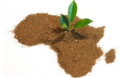 Bulletin de l'écologie de l'Afrique Bulletin de l'écologie de l'Afrique