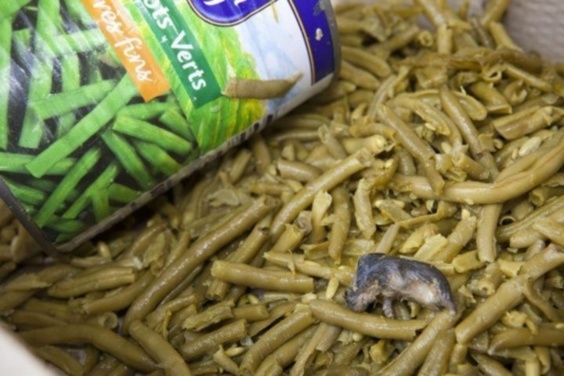 Une souris morte dans ses haricots verts