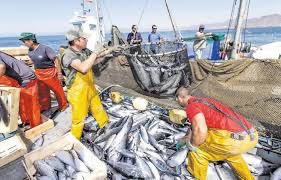 L'arme fatale serait d'interdire aux bateaux de pêche espagnols d'entrer dans les eaux territoriales marocaines L'arme fatale serait d'interdire aux bateaux de pêche espagnols d'entrer dans les eaux territoriales marocaines