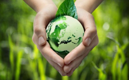 Bulletin écologique du Maghreb Bulletin écologique du Maghreb