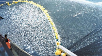 Les Espagnols ont peur de danser le flamenco sur leur tête à cause de leur Gouvernement socialiste Les Espagnols ont peur de danser le flamenco sur leur tête à cause de leur Gouvernement socialiste