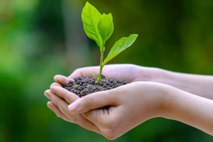 Bulletin écologique du Maghreb Bulletin écologique du Maghreb