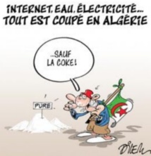 L'Algérie est bel et bien impliquée jusqu'au cou dans la production et le trafic de drogues dures L'Algérie est bel et bien impliquée jusqu'au cou dans la production et le trafic de drogues dures