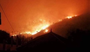 Algérie: des forêts du massif des Aurès en proie aux flammes Algérie: des forêts du massif des Aurès en proie aux flammes
