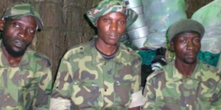 Entre rebelles ADF et groupe Etat islamique, une affiliation qui fait débat Entre rebelles ADF et groupe Etat islamique, une affiliation qui fait débat