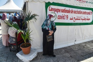 Virus/Algérie: reprise "alarmante" et Etat "absent", s'inquiète un infectiologue Virus/Algérie: reprise "alarmante" et Etat "absent", s'inquiète un infectiologue