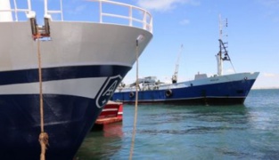 With Dakhla Atlantic Mega Project, Morocco Wants To Foster Its Role as Continental and International Economic Crossroads (Jeune Afrique) With Dakhla Atlantic Mega Project, Morocco Wants To Foster Its Role as Continental and International Economic Crossroads (Jeune Afrique)