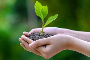 Bulletin de l'écologie de l'Afrique Bulletin de l'écologie de l'Afrique