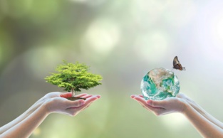 Bulletin de l'écologie de l'Afrique Bulletin de l'écologie de l'Afrique