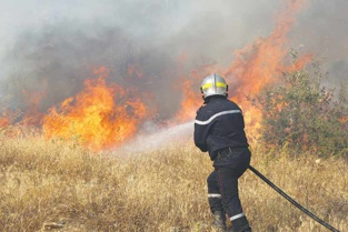 Quatre morts dans des incendies de forêts en Algérie Quatre morts dans des incendies de forêts en Algérie
