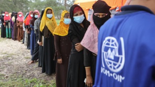 Who: Global Coronavirus Case Tally May Reach 300 Mln by 'Early Next Year' Who: Global Coronavirus Case Tally May Reach 300 Mln by 'Early Next Year'