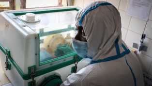 La Côte d'Ivoire enregistre son premier cas de virus Ebola depuis 1994 La Côte d'Ivoire enregistre son premier cas de virus Ebola depuis 1994