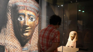 Exposition Chine-Etats arabes: Plus de 1.000 entreprises participent à la 5e édition Exposition Chine-Etats arabes: Plus de 1.000 entreprises participent à la 5e édition