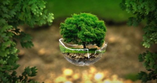 Bulletin de l'écologie de l’Afrique Bulletin de l'écologie de l’Afrique