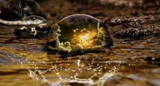 La Tunisie a besoin d'environ 350 millions d'euros pour conserver sa diversité biologique d'ici 2030 La Tunisie a besoin d'environ 350 millions d'euros pour conserver sa diversité biologique d'ici 2030