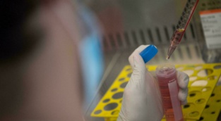 Afrique du Sud: les scientifiques surveillent un nouveau variant Afrique du Sud: les scientifiques surveillent un nouveau variant