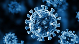 L'Afrique du Sud détecte le nouveau variant du coronavirus C.1.2 L'Afrique du Sud détecte le nouveau variant du coronavirus C.1.2