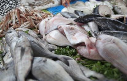 Les exportations de poissons rapportent à l'Angola 35 millions de dollars en six mois Les exportations de poissons rapportent à l'Angola 35 millions de dollars en six mois