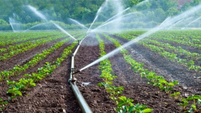 Irrigation durable : le Maroc disposé à partager son expérience avec les pays africain Irrigation durable : le Maroc disposé à partager son expérience avec les pays africain