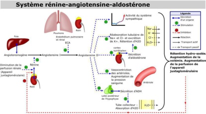 Alors, vive le sel ou à bas le sel ?? Alors, vive le sel ou à bas le sel ??
