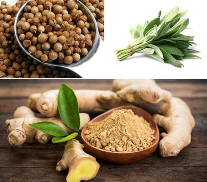 Ecosse. Boom du gin aux épices marocaines Ecosse. Boom du gin aux épices marocaines