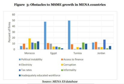 EMNES : Comment les MPME marocaines profilent-elles leurs problèmes ? EMNES : Comment les MPME marocaines profilent-elles leurs problèmes ?