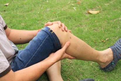 13 effets néfastes du thé vert, que vous ne soupçonniez pas ! 13 effets néfastes du thé vert, que vous ne soupçonniez pas !