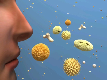 Etude : Les particules fines aérosols peuvent causer l’infertilité masculine Etude : Les particules fines aérosols peuvent causer l’infertilité masculine