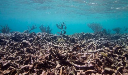 Des paléontologues texans, au Maroc et en Slovénie, posent la question : L’histoire se répétera-t-elle ? Des paléontologues texans, au Maroc et en Slovénie, posent la question : L’histoire se répétera-t-elle ?