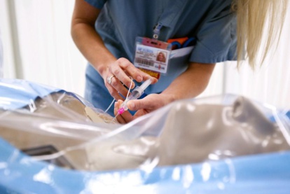 Etude: Une plante marocaine cactiforme, révolutionnerait la médecine de la douleur Etude: Une plante marocaine cactiforme, révolutionnerait la médecine de la douleur