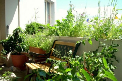Jardins de balcons: cultiver des plantes...et des esprits Jardins de balcons: cultiver des plantes...et des esprits