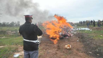 Laâyoune : Destruction par incinération de plus de 4 tonnes de chira et de produits de contrebande Laâyoune : Destruction par incinération de plus de 4 tonnes de chira et de produits de contrebande