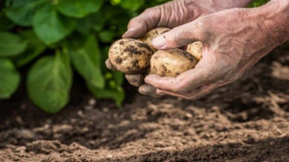 Forum régional à Laâyoune sur le rôle des jeunes dans l’exécution de l’Agenda 2030 pour le développement durable Forum régional à Laâyoune sur le rôle des jeunes dans l’exécution de l’Agenda 2030 pour le développement durable