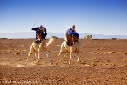 Réunis au Maroc, les nomades célèbrent leur principale 