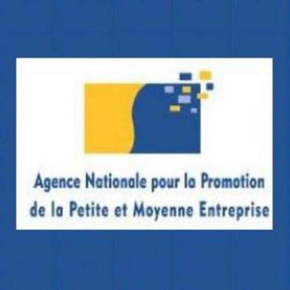 L’Agence nationale pour la promotion de la petite et moyenne entreprise L’Agence nationale pour la promotion de la petite et moyenne entreprise