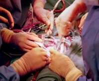 PH news.discovery PH news.discovery