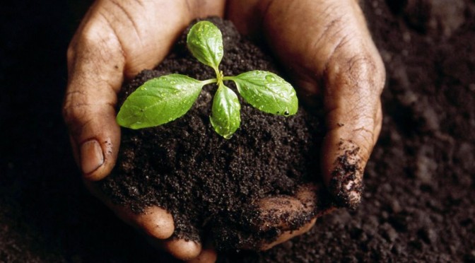 Bulletin de l'écologie de l’Amérique du Nord